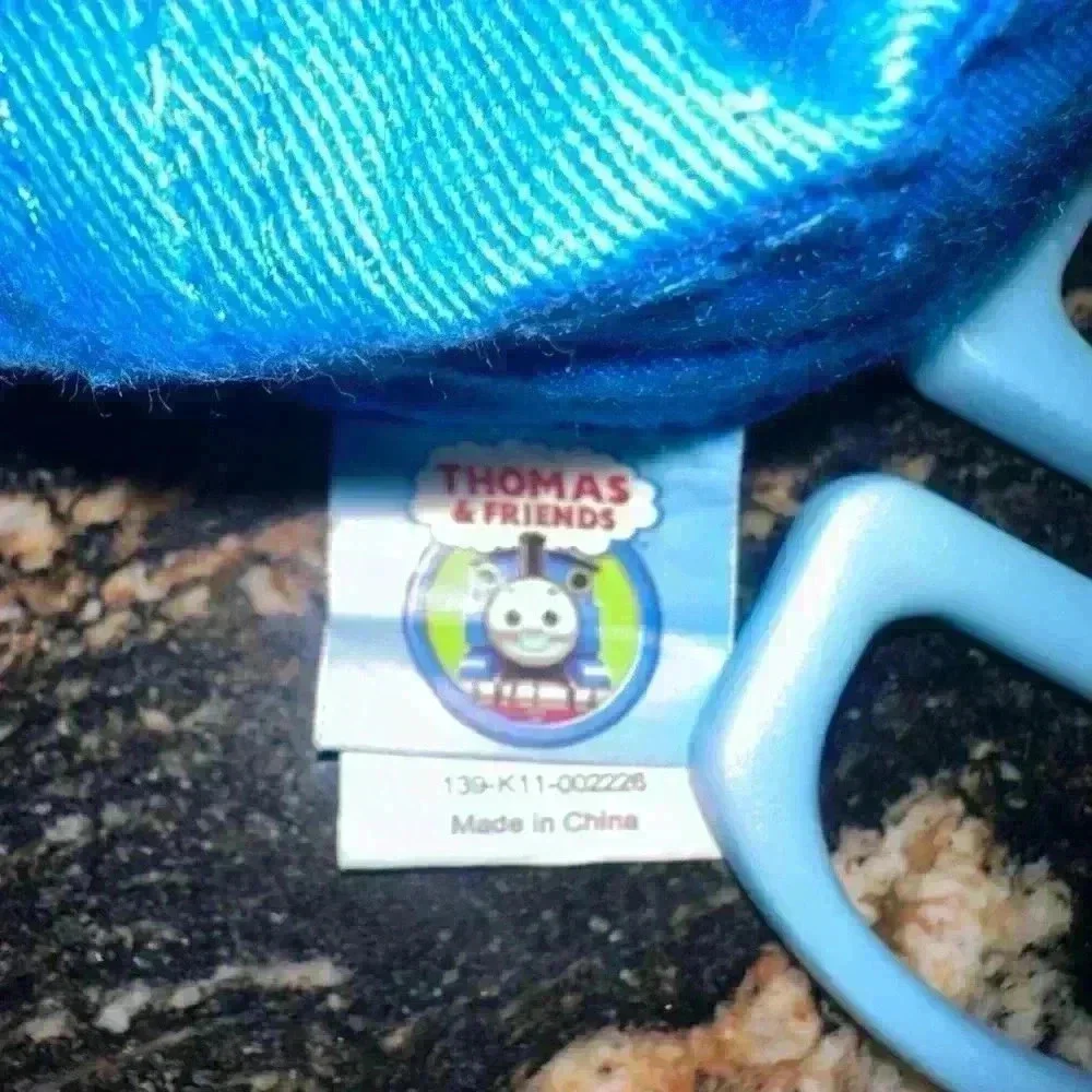 Thomas the Train Boys Thomas & Friends Blue Hat OSFM